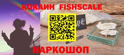 крисы Пенза