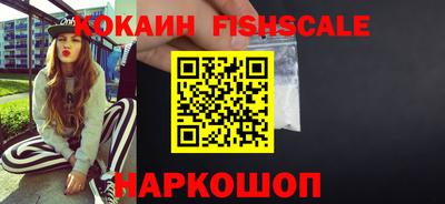 крисы Пенза