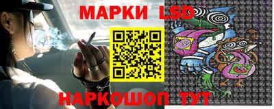 крисы Пенза