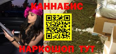 крисы Пенза