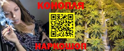 гашик Партизанск