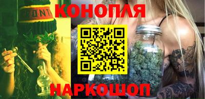 крисы Пенза