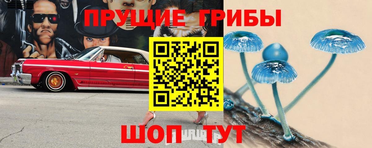 Нарткала  Псилоцибиновые грибы GOLDEN TEACHER  Вход с VPN  Галлюциногенные грибы мицелий 